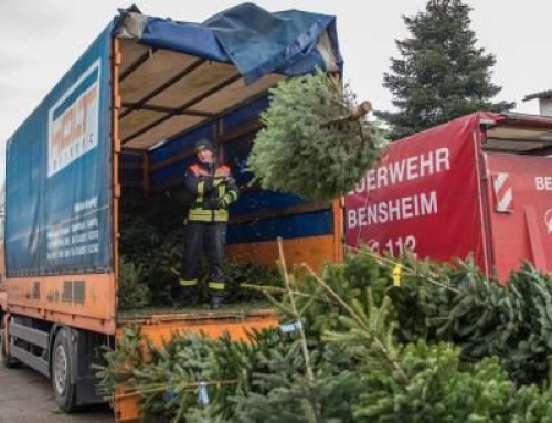 Feuerwehr holt die Weihnachtsbäume